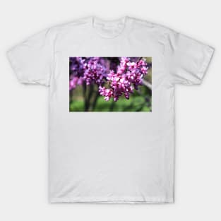 Bee on a flower T-Shirt